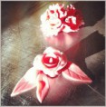 /album/galerie-photos/fleur-jpg/
